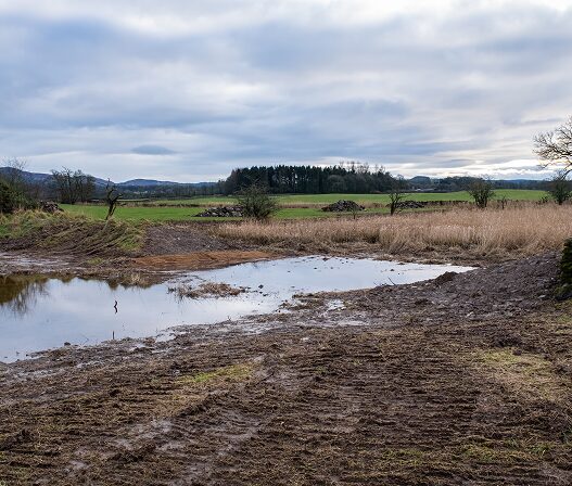 Professional Pond Construction for Farms, Acreage, and Rural Properties